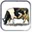 Unit_Resource_Atlas_7_12