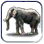 Unit_Resource_Atlas_7_13