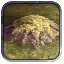 Hill