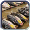Tsukiji Fish Market