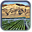 Crop Rotation